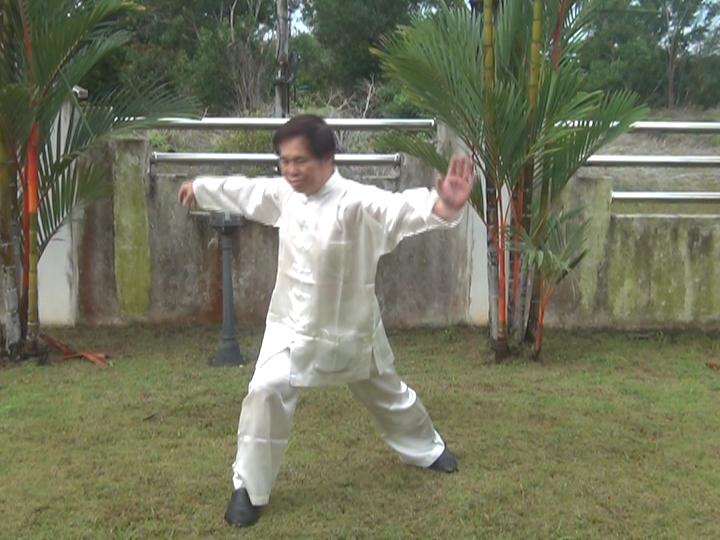 Yang Style Taijiquan, Tai Chi Chuan