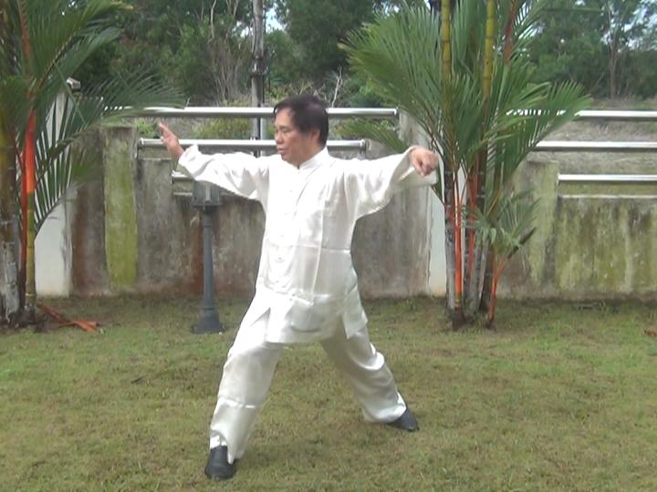 Yang Style Taijiquan, Tai Chi Chuan