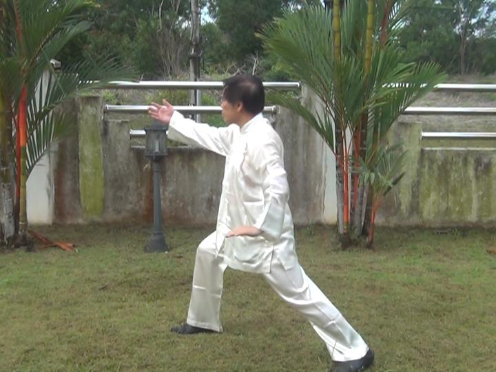 Yang Style Taijiquan, Tai Chi Chuan