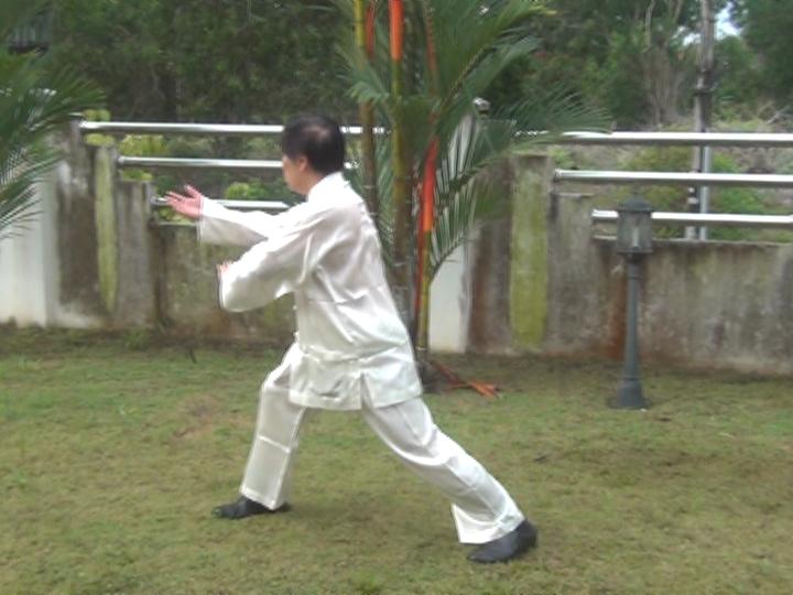 Yang Style Taijiquan