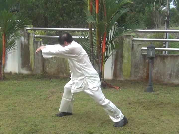 Yang Style Taijiquan, Tai Chi Chuan