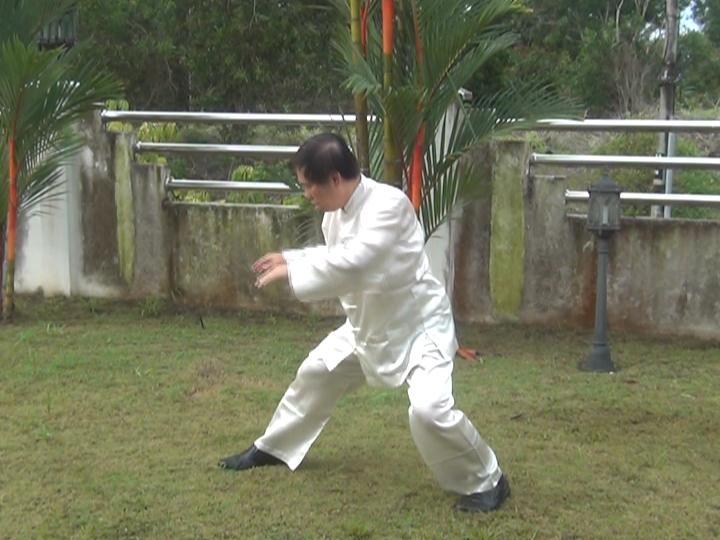 Yang Style Taijiquan, Tai Chi Chuan