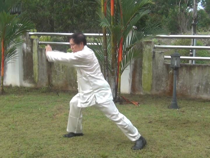 Yang Style Taijiquan, Tai Chi Chuan