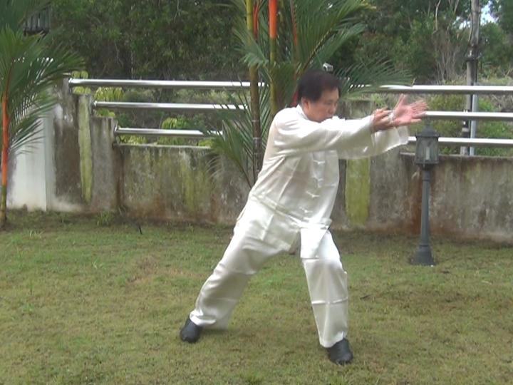 Yang Style Taijiquan, Tai Chi Chuan