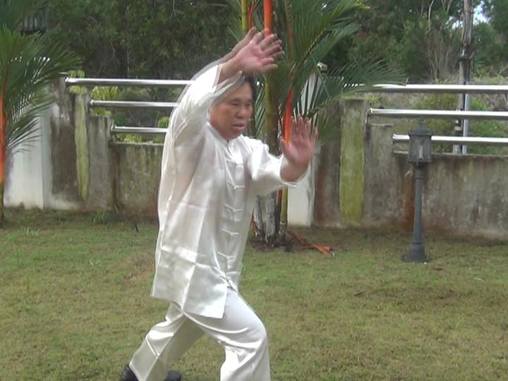 Yang Style Taijiquan, Tai Chi Chuan