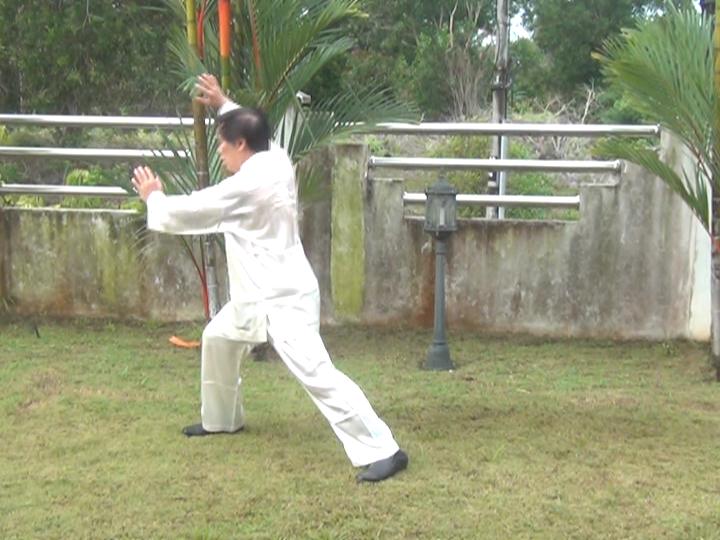 Yang Style Taijiquan, Tai Chi Chuan