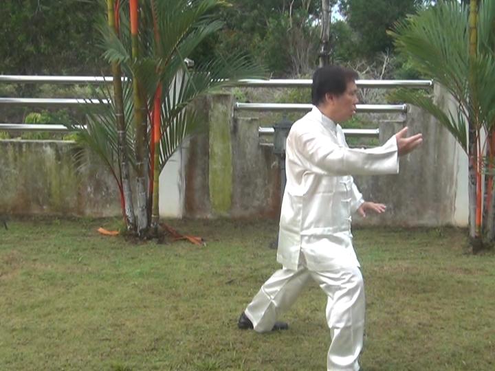 Yang Style Taijiquan, Tai Chi Chuan