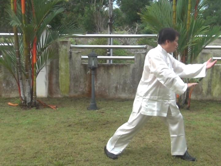 Yang Style Taijiquan, Tai Chi Chuan