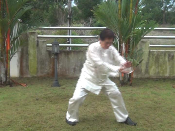 Yang Style Taijiquan, Tai Chi Chuan