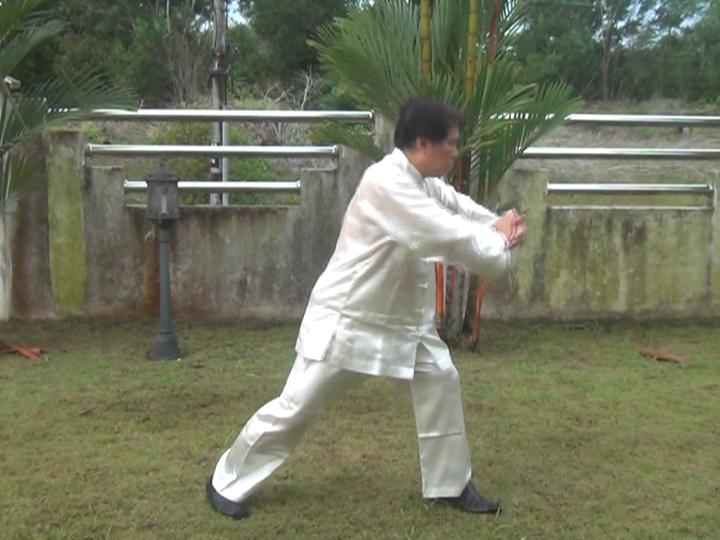 Yang Style Taijiquan, Tai Chi Chuan