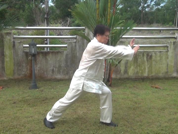 Yang Style Taijiquan, Tai Chi Chuan