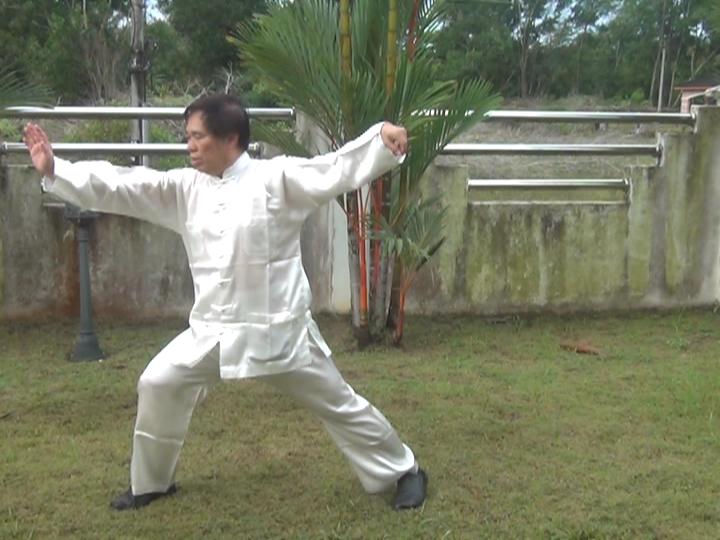 Yang Style Taijiquan, Tai Chi Chuan