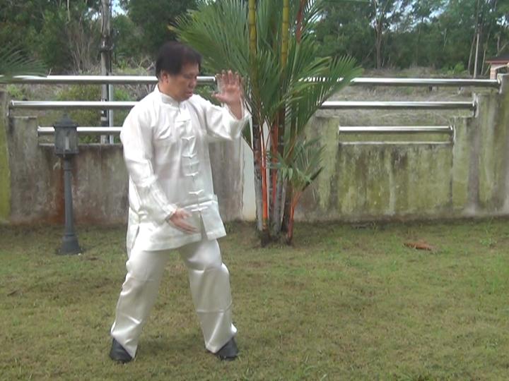 Yang Style Taijiquan, Tai Chi Chuan