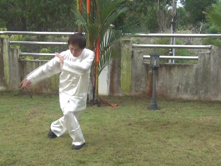 Yang Style Taijiquan, Tai Chi Chuan