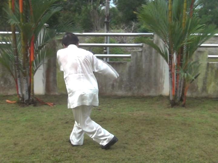 Yang Style Taijiquan, Tai Chi Chuan