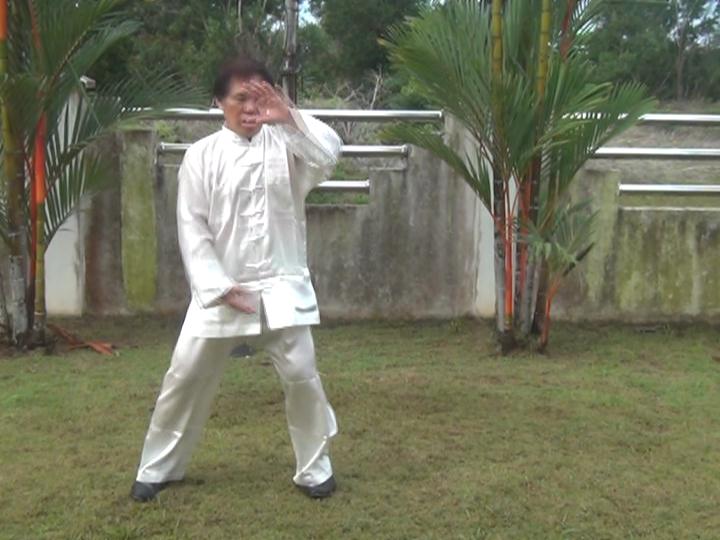 Yang Style Taijiquan, Tai Chi Chuan