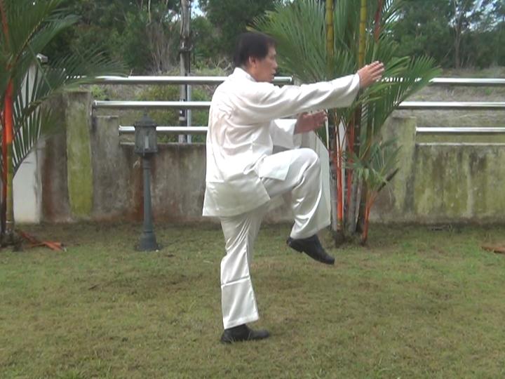 Yang Style Taijiquan, Tai Chi Chuan