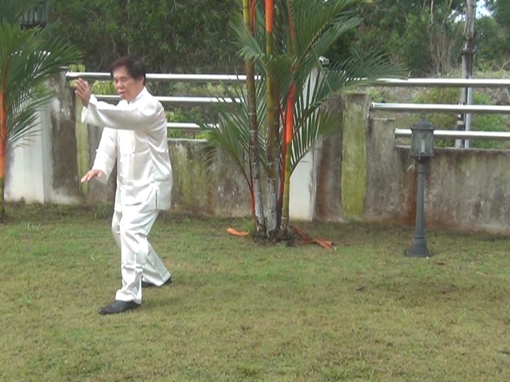 Yang Style Taijiquan, Tai Chi Chuan