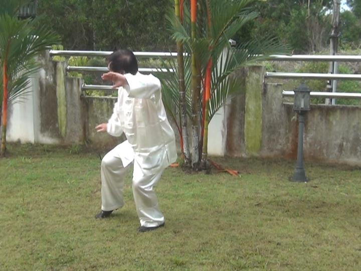 Yang Style Taijiquan, Tai Chi Chuan