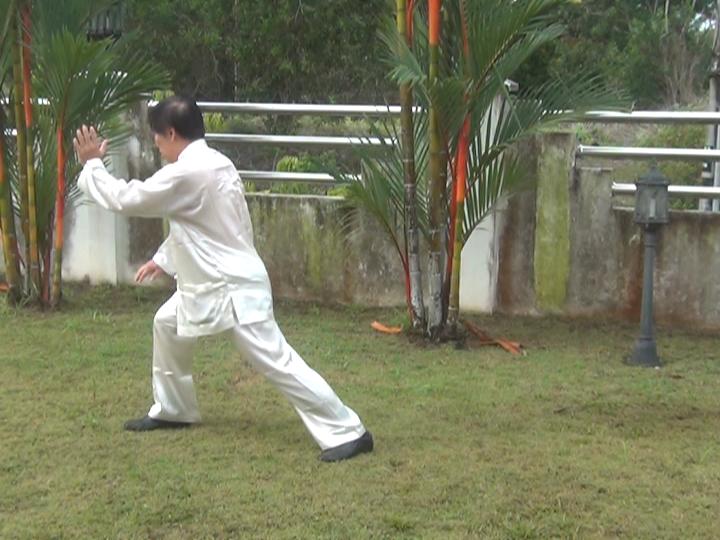 Yang Style Taijiquan, Tai Chi Chuan