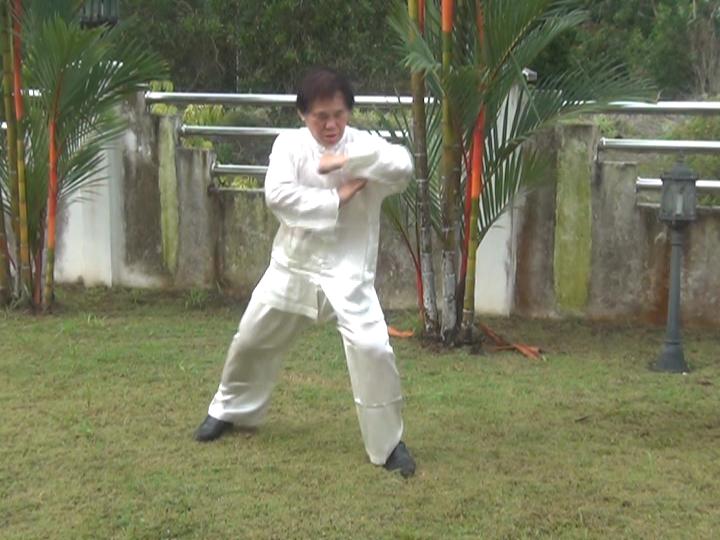 Yang Style Taijiquan, Tai Chi Chuan