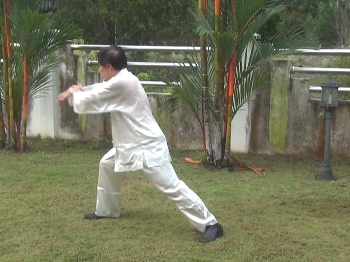 Yang Style Taijiquan, Tai Chi Chuan