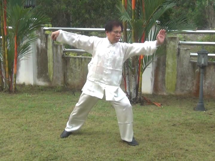 Yang Style Taijiquan, Tai Chi Chuan