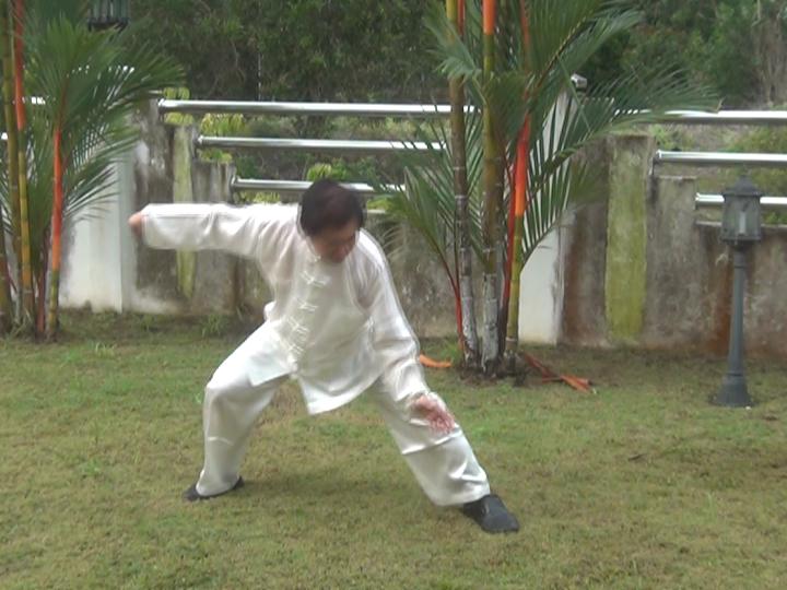 Yang Style Taijiquan