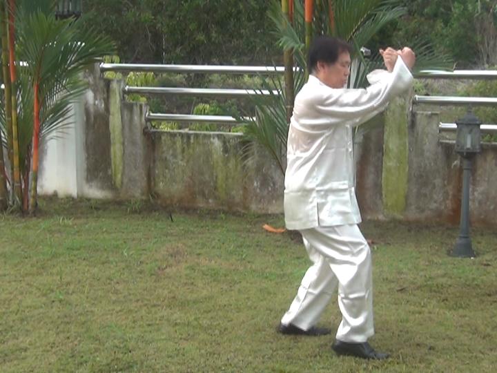 Yang Style Taijiquan, Tai Chi Chuan