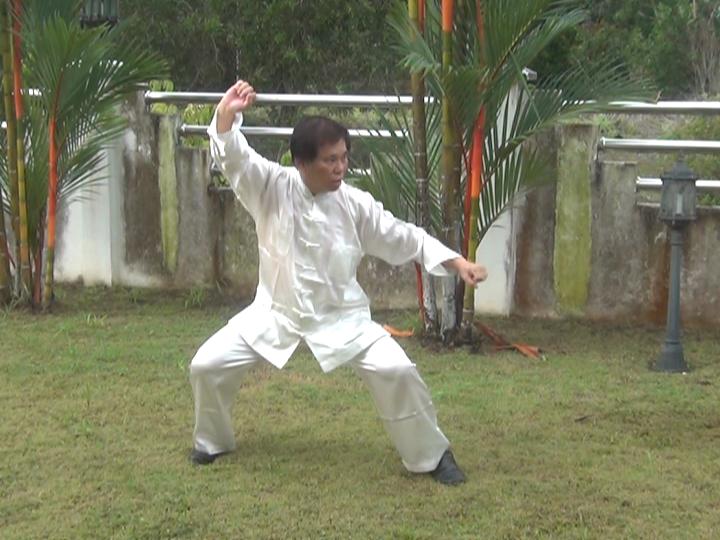 Yang Style Taijiquan