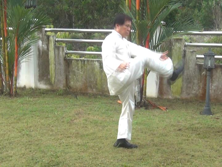 Yang Style Taijiquan, Tai Chi Chuan