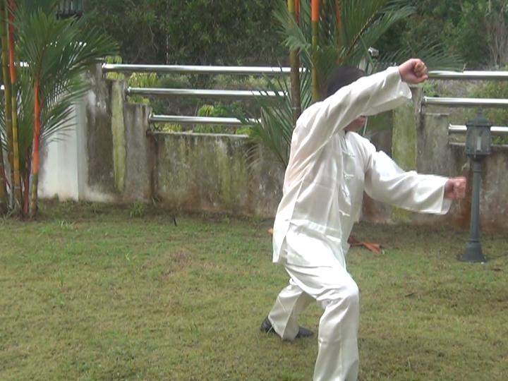 Yang Style Taijiquan, Tai Chi Chuan