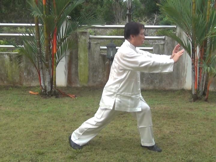 Yang Style Taijiquan, Tai Chi Chuan