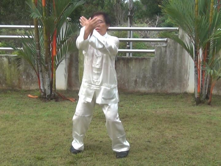 Yang Style Taijiquan, Tai Chi Chuan