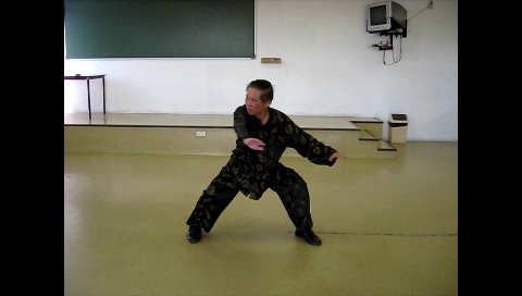 Baguazhang, Pakua Chang