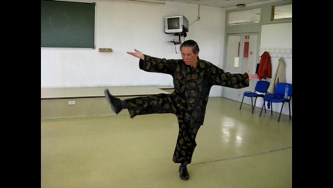 Baguazhang, Pakua Chang