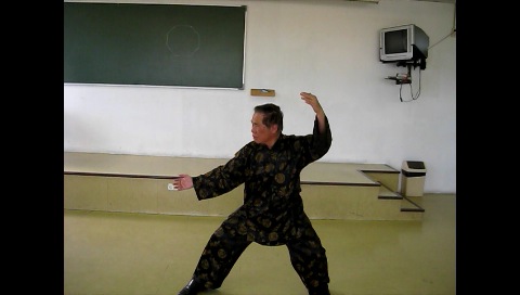 Baguazhang, Pakua Chang