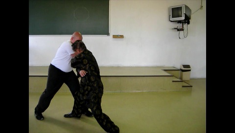 Baguazhang, Pakua Chang