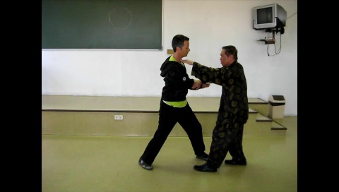 Baguazhang, Pakua Chang