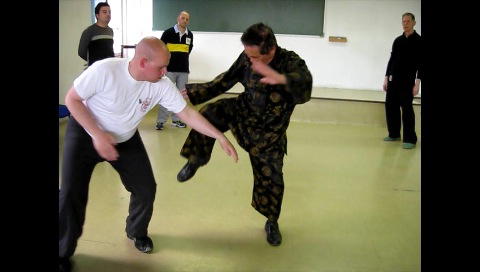 Baguazhang, Pakua Chang