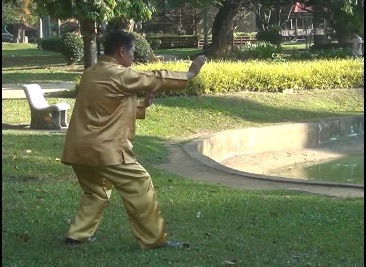 Baguazhang Swimming Dragon Set