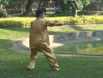 Baguazhang Swimming Dragon Set