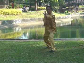 Baguazhang Swimming Dragon Set