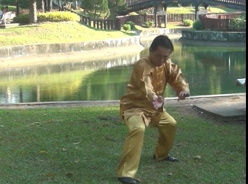 Baguazhang Swimming Dragon Set