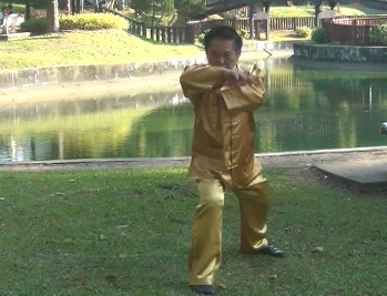 Baguazhang Swimming Dragon Set