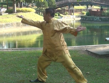 Baguazhang Swimming Dragon Set