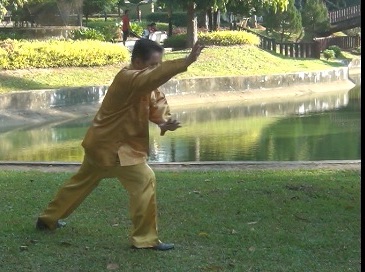 Baguazhang Swimming Dragon Set