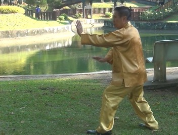 Baguazhang Swimming Dragon Set