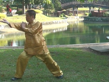 Baguazhang Swimming Dragon Set