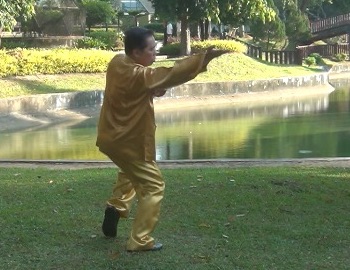 Baguazhang Swimming Dragon Set